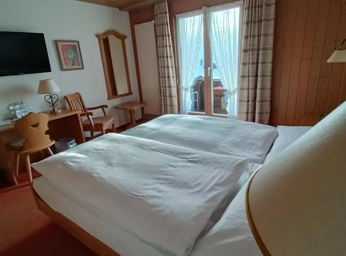 Mini-hôtel Adler 3*